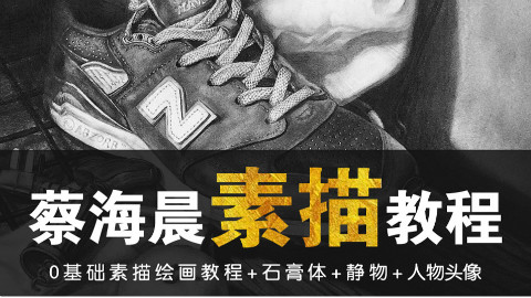【史上最强画画教学】素描篇—第15集 (蔡海晨素描绘画手绘画画工作室出品)